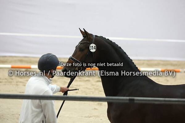 314 (Dark Rousseau x Connaisseur)