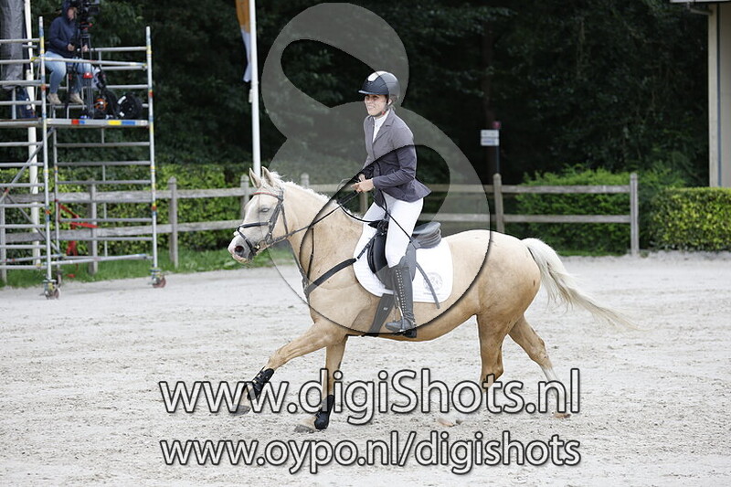 Springen 0.90cm pony