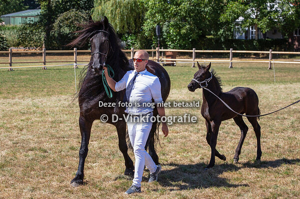 50. Hoitske van Rijsingen