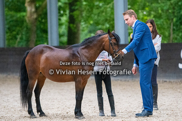 Nationale Show Welsh Belgium