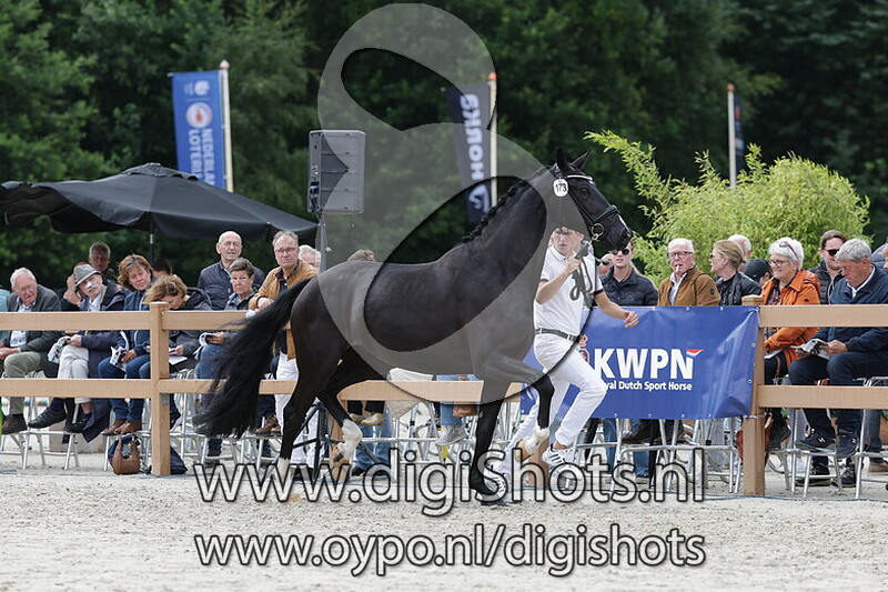 Surprise di Mone v. Jameson RS2