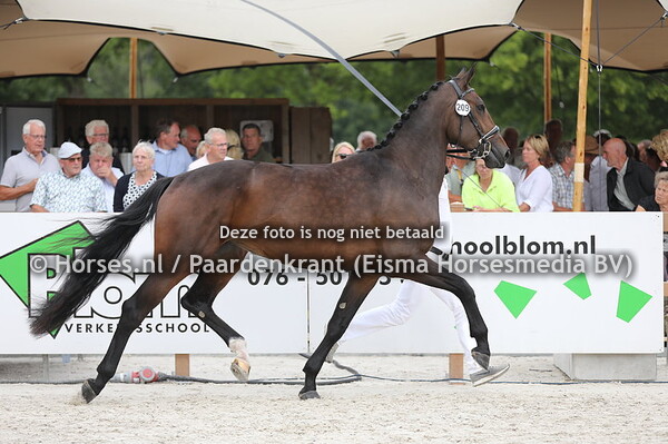 209 Onna Dodessa van Heemstate