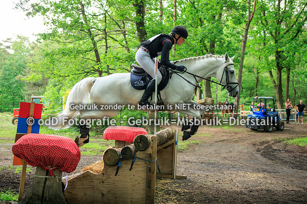 SGW Markelo Paard M Pony Z 18-05-24