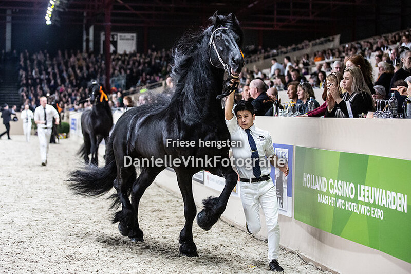 Hengstenkeuring 2020 Pier 448