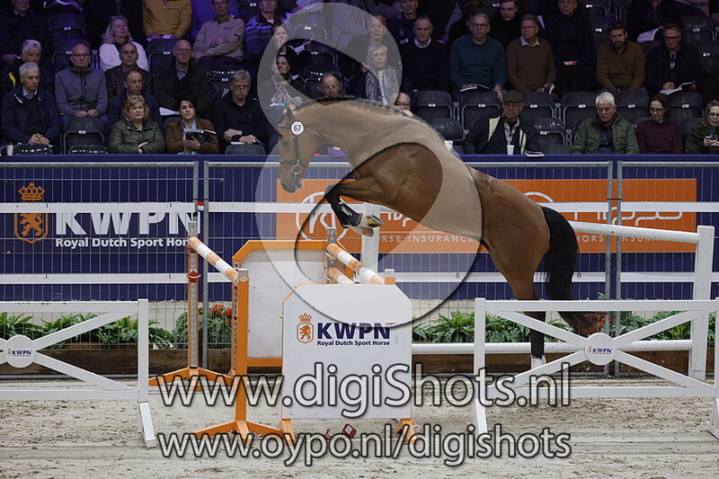 Palemmo v. Gerardus - 067