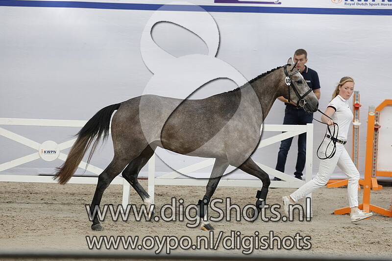 Parusa v. Hardrock Z