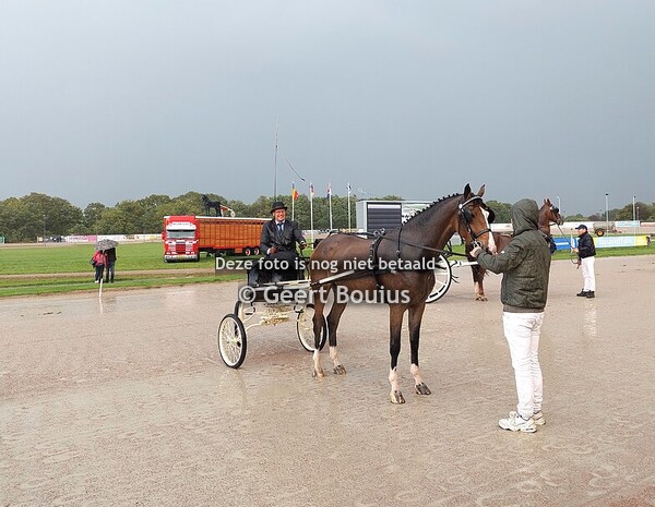 Dag van het paard Wolvega