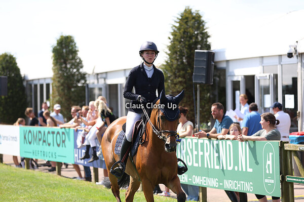 Impression / ponies / other