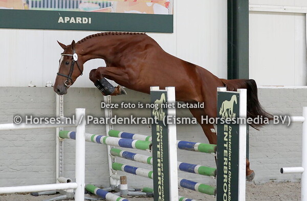 11-06-24 Stamboekkeuring Enter