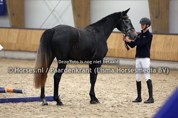 22 Sygane (Carrera VDL x Hyagane v. Corland)