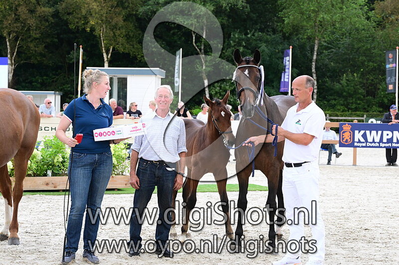 U Gumo Eldorado MP - 033