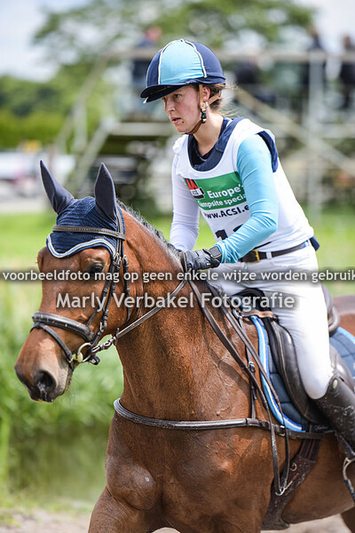 Finale 4 jarige eventing paarden Renswoude