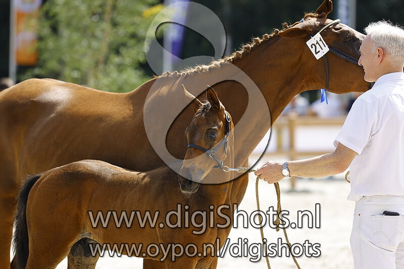 Toby S v. Noble Prince Norel