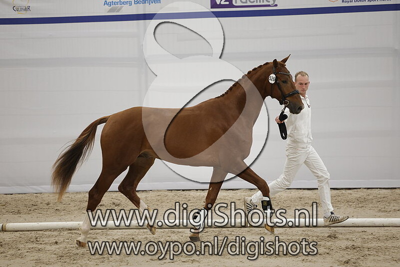 Pedrosa VDP v. Taminiau - 526