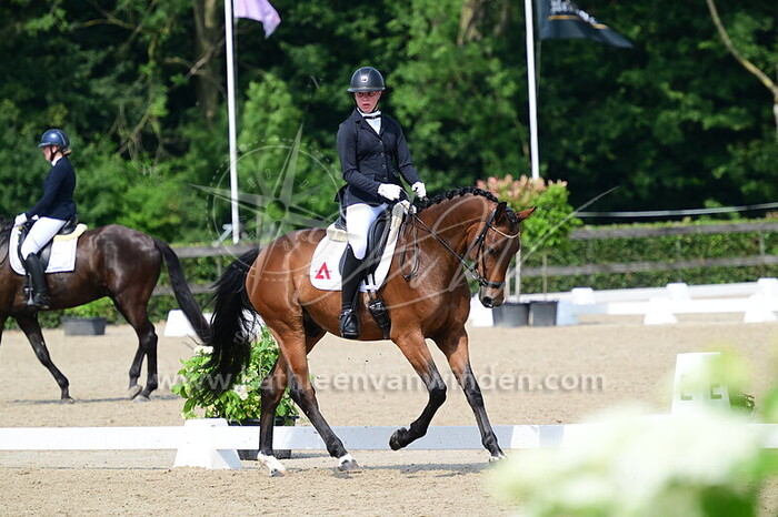 Jasmijn Kosterman - Rocko