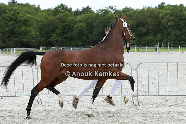 Rana NC ( Johnny Cash x Marvel ) 