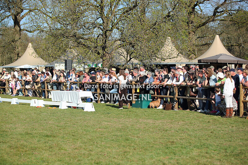 NK Jachtpaarden Maarsbergen 12-04-2025 Strodorp