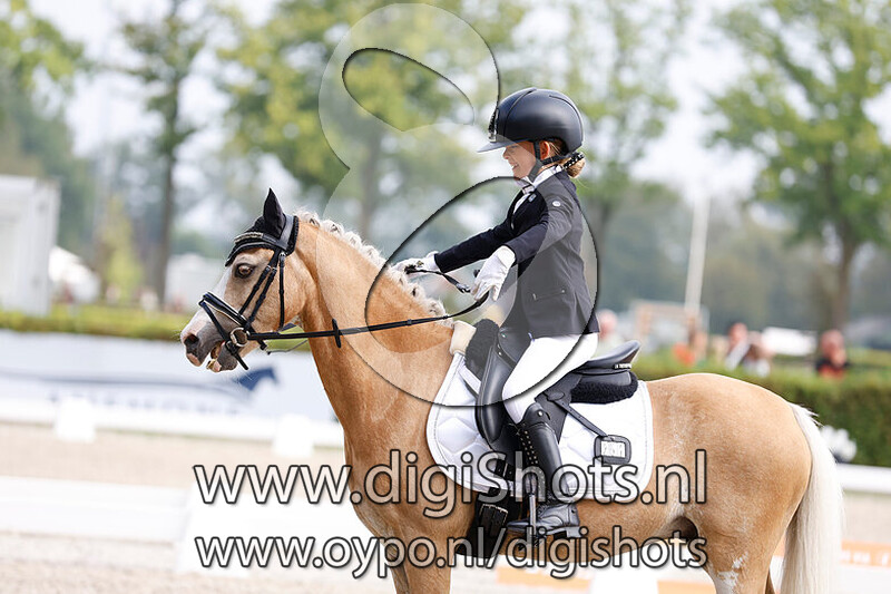 Ring 7 Klasse B cat AB