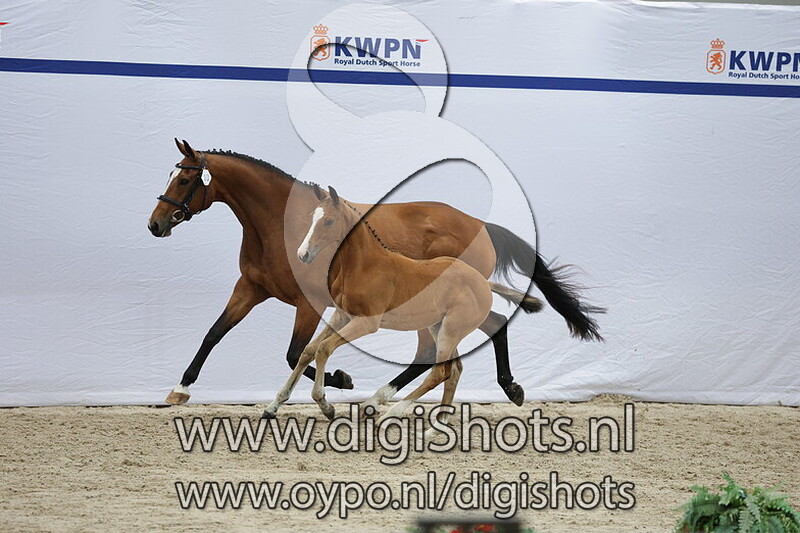 Verron v. New Pleasure VDL