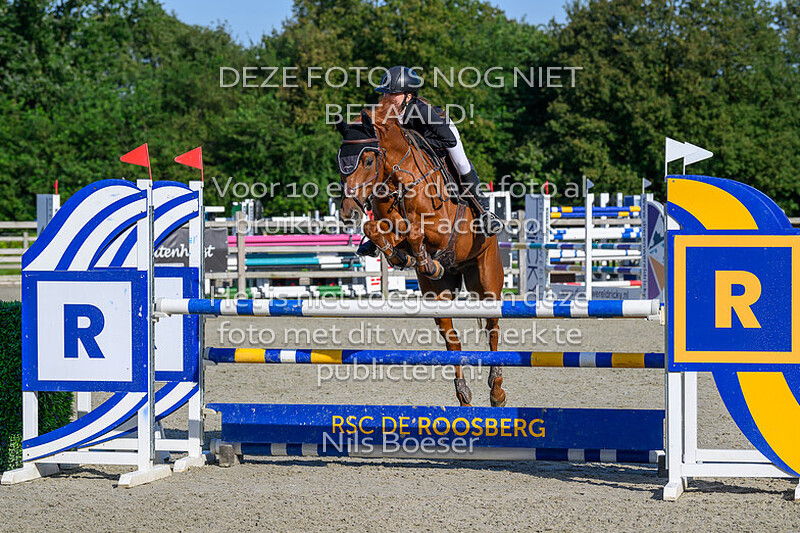 4 Pony's Klasse 110-120cm