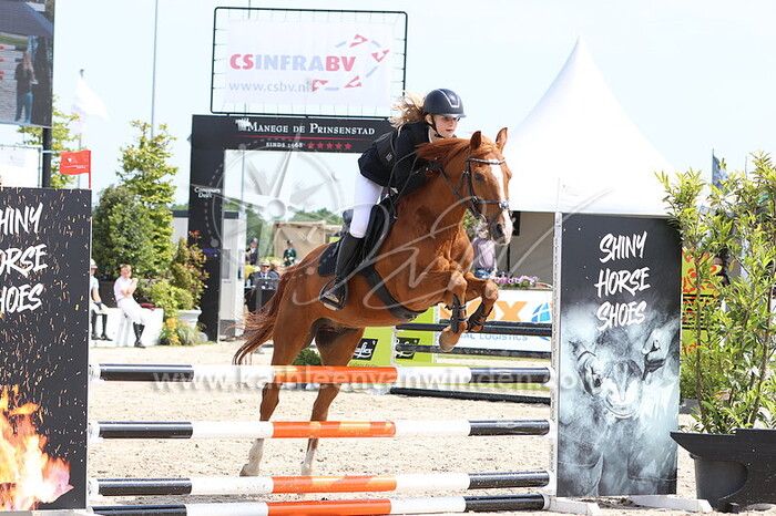 Julia van Rij - Orchid's Paraqui