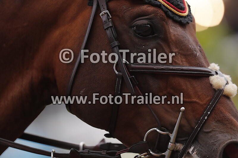 Mohammed Ahmed Al Owais