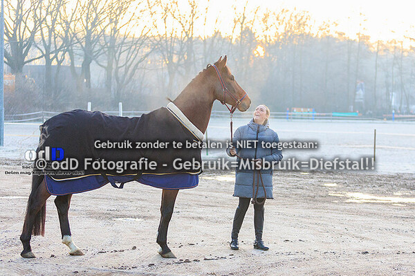 Indoor Cross Boxtel 01-02-25