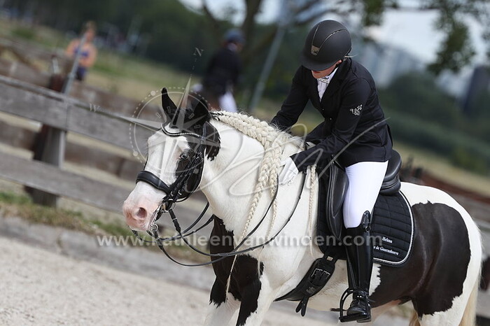 Tanja van der Linden