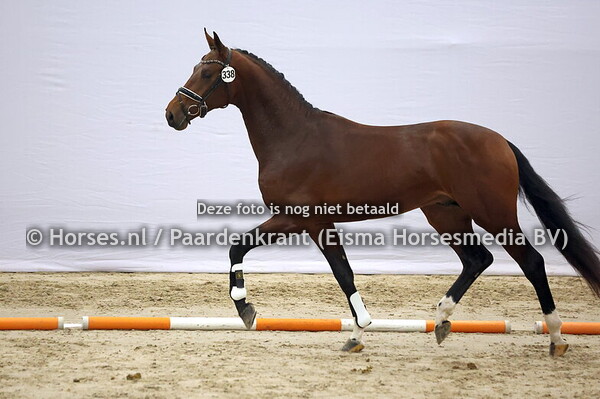 338 (Escaneno x Krack C)