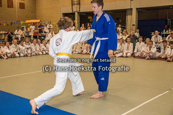 Judo 2024 Demonstratie Jiu Jitsu