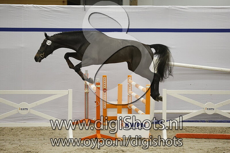 Season VD v. Next in Line