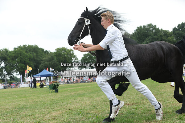 Hynstedagen Sumarreheide 2025