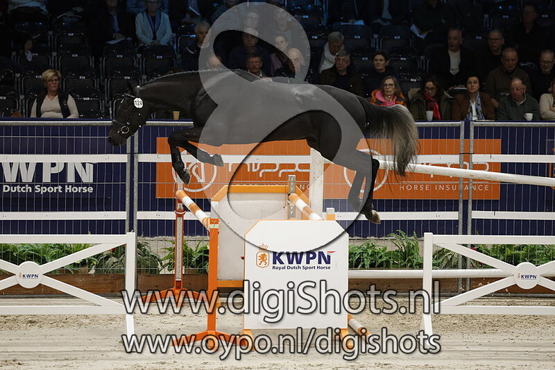 Rumba Vd Radstake v. Mumbai Van De Moerhoeve - 124