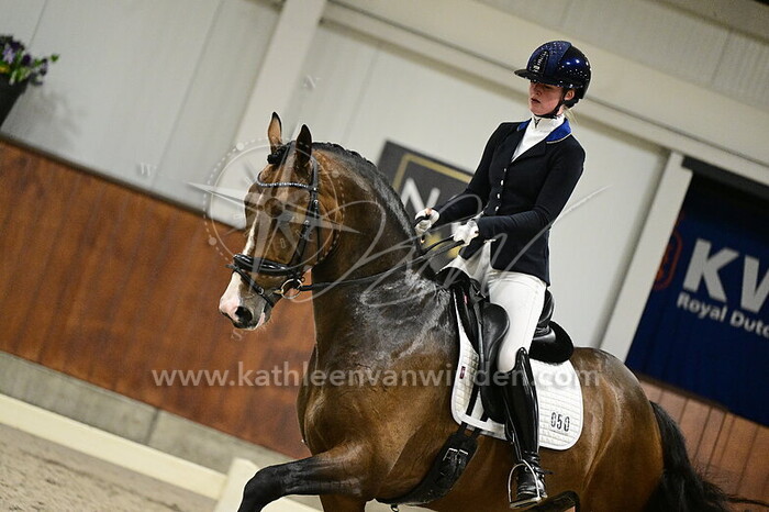 Amber Hage - Salvador JB