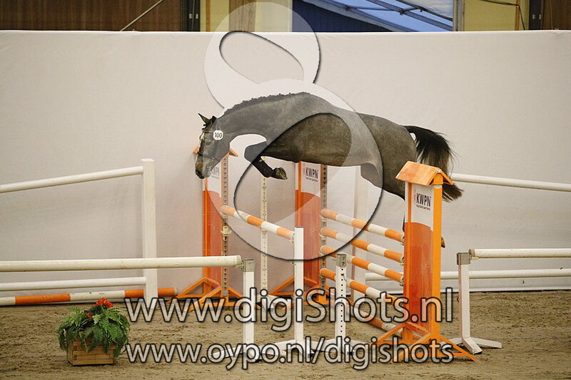 100 Lucky Star v. E Star