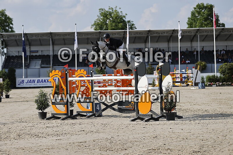 dennis van den brink