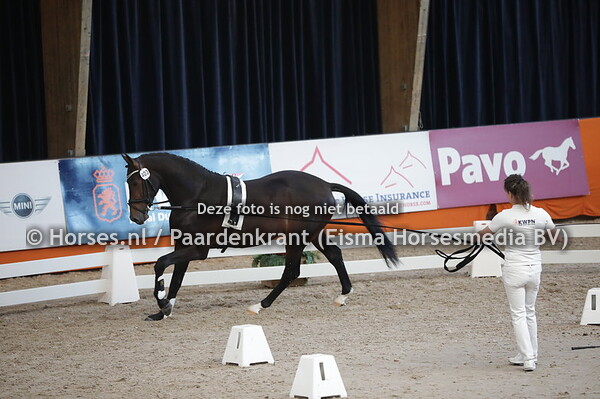 403 (Franklin x United)