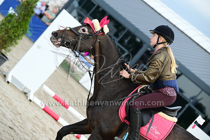 Liese Mijnster - Hermitage