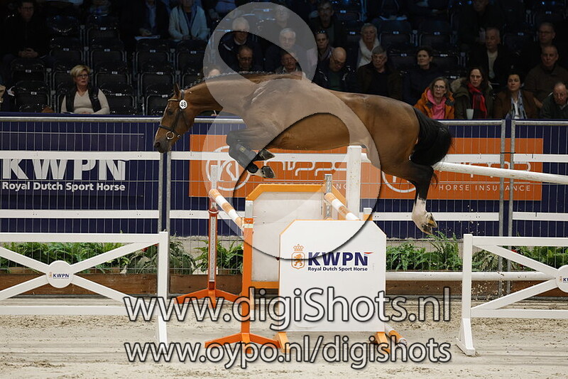 Red Label v. Defender Vds Z - 048