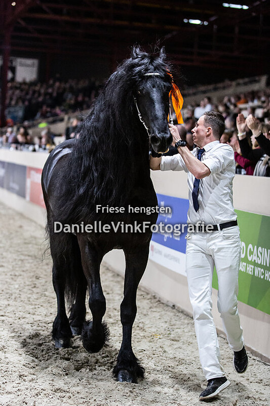 Hengstenkeuring 2020 Take 455