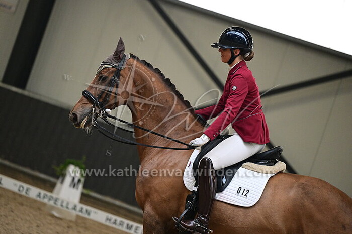 Malou Penners - Epidaurus SDM