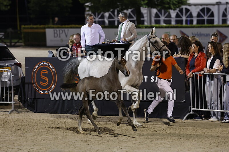 schuttert sport sales