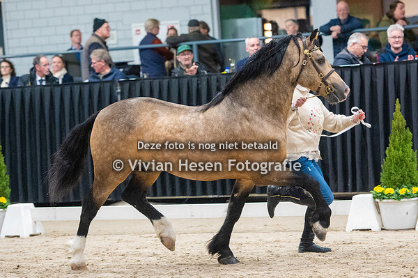 2e Bezichtiging Sectie D