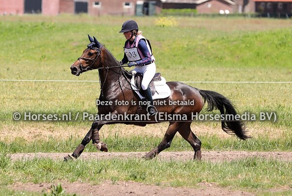 503 Jackpower (Starpower x Singapore x Glennridge) Elsemiek van Roekel