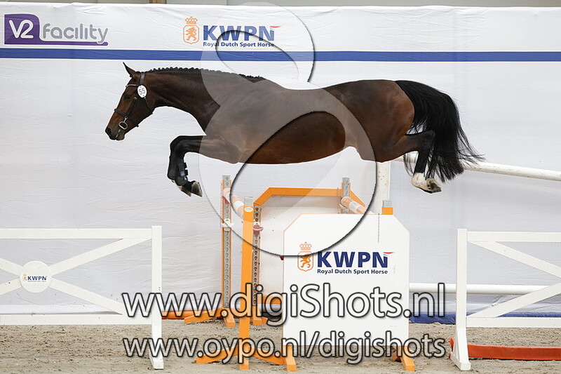 Pays Bas VDP v. Eldorado van de Zeshoek