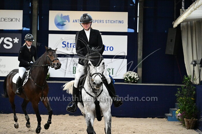 Anne Dircken - Heart of Promesse Z