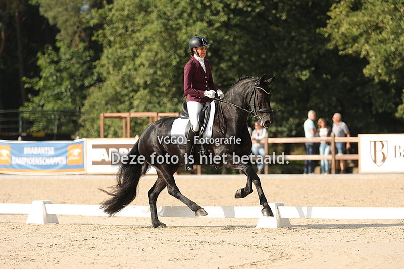 Ring 1 & 2 Paarden M1 & M2