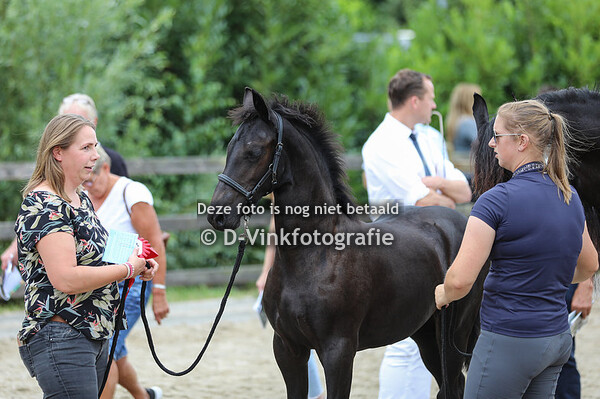 25. Unyke fan de Slachtedyk