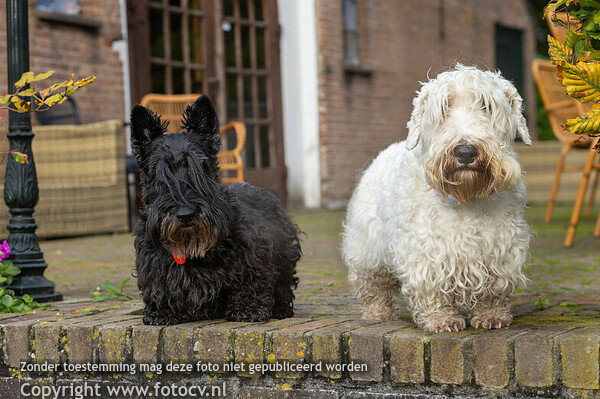 Slipjacht Marienwaerdt 2025 - JVS