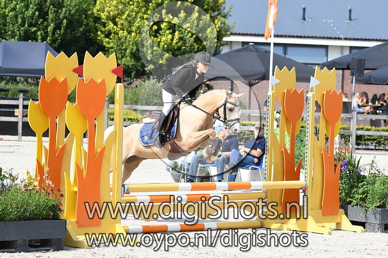 Ysselvliedts Velvet Skydiver